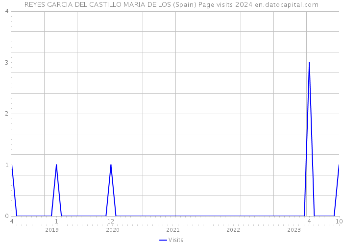 REYES GARCIA DEL CASTILLO MARIA DE LOS (Spain) Page visits 2024 
