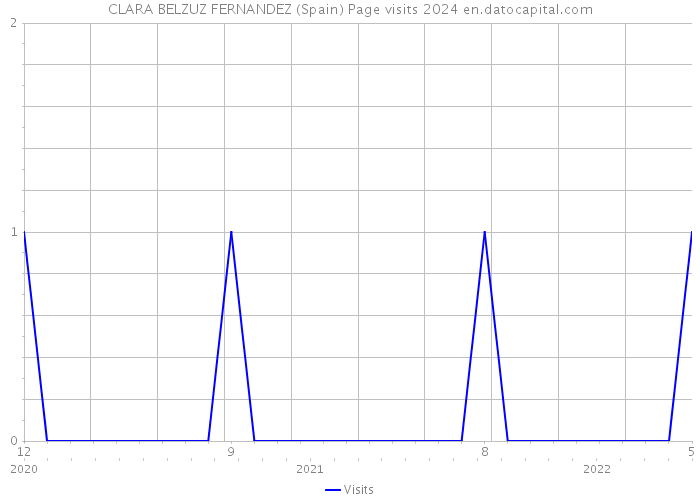 CLARA BELZUZ FERNANDEZ (Spain) Page visits 2024 