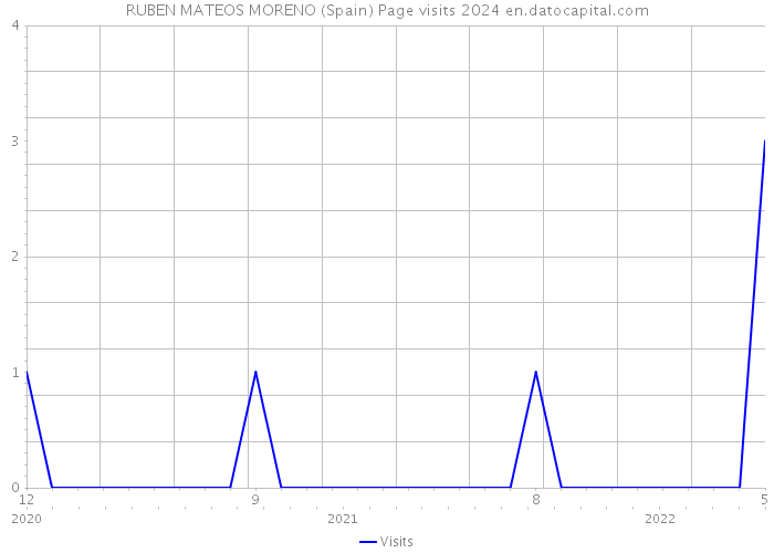 RUBEN MATEOS MORENO (Spain) Page visits 2024 
