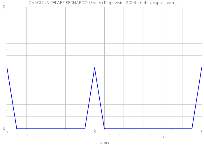 CAROLINA PELAEZ BERNARDO (Spain) Page visits 2024 