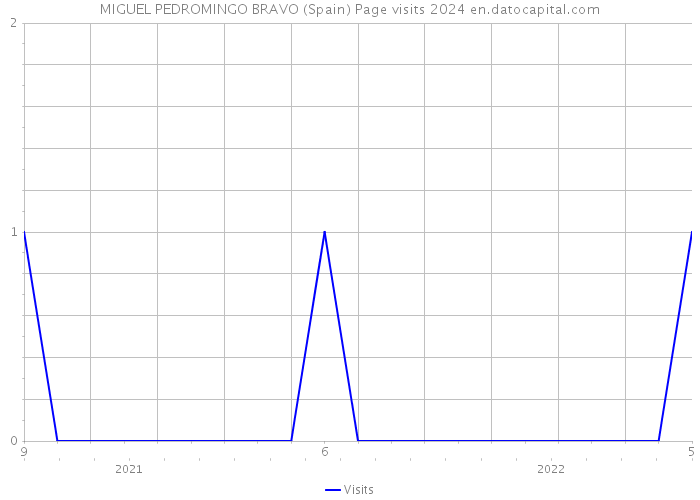MIGUEL PEDROMINGO BRAVO (Spain) Page visits 2024 