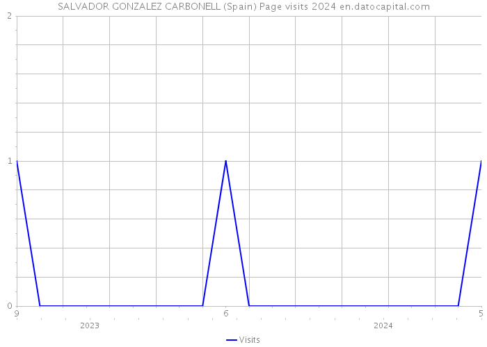 SALVADOR GONZALEZ CARBONELL (Spain) Page visits 2024 
