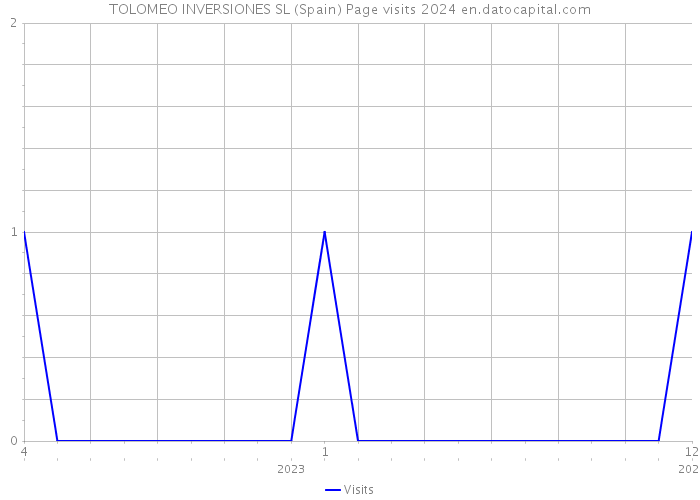 TOLOMEO INVERSIONES SL (Spain) Page visits 2024 