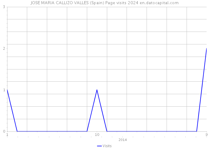 JOSE MARIA CALLIZO VALLES (Spain) Page visits 2024 