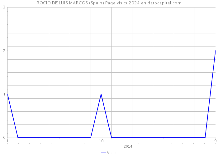 ROCIO DE LUIS MARCOS (Spain) Page visits 2024 