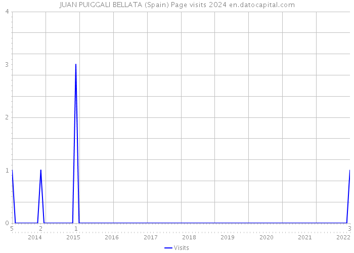 JUAN PUIGGALI BELLATA (Spain) Page visits 2024 