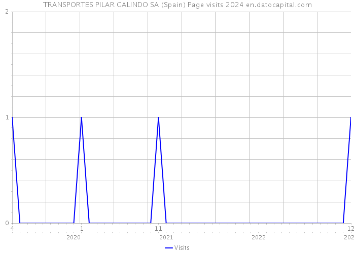TRANSPORTES PILAR GALINDO SA (Spain) Page visits 2024 