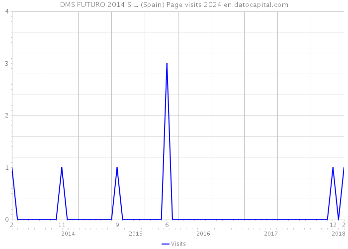 DMS FUTURO 2014 S.L. (Spain) Page visits 2024 