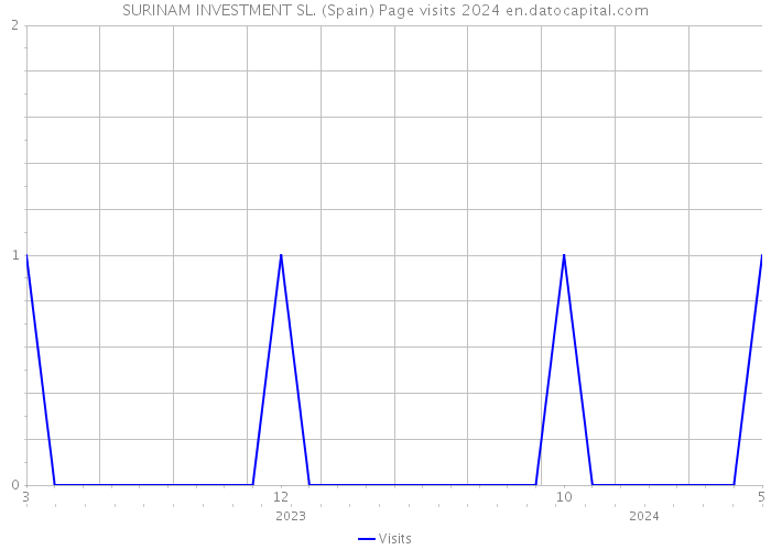 SURINAM INVESTMENT SL. (Spain) Page visits 2024 
