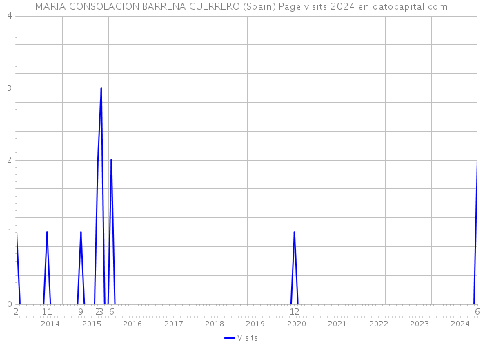 MARIA CONSOLACION BARRENA GUERRERO (Spain) Page visits 2024 