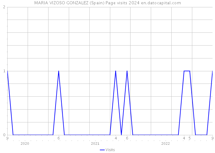 MARIA VIZOSO GONZALEZ (Spain) Page visits 2024 