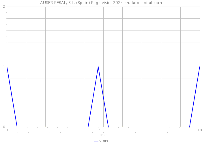 AUSER PEBAL, S.L. (Spain) Page visits 2024 