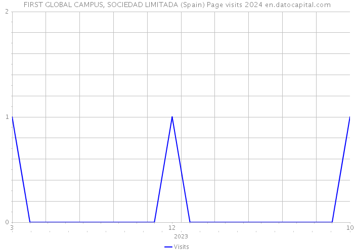 FIRST GLOBAL CAMPUS, SOCIEDAD LIMITADA (Spain) Page visits 2024 