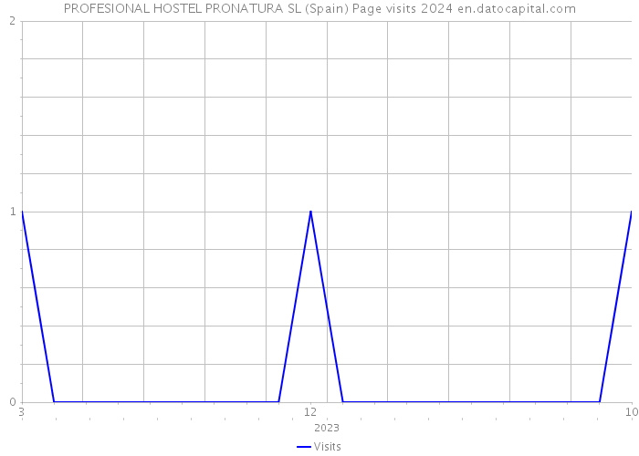 PROFESIONAL HOSTEL PRONATURA SL (Spain) Page visits 2024 
