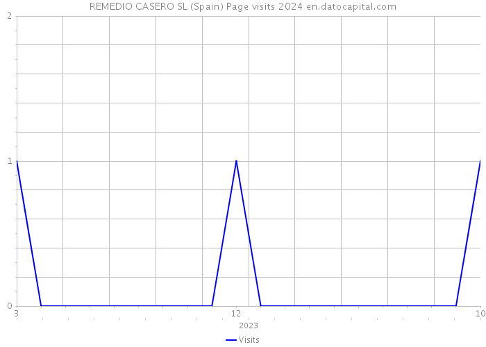 REMEDIO CASERO SL (Spain) Page visits 2024 