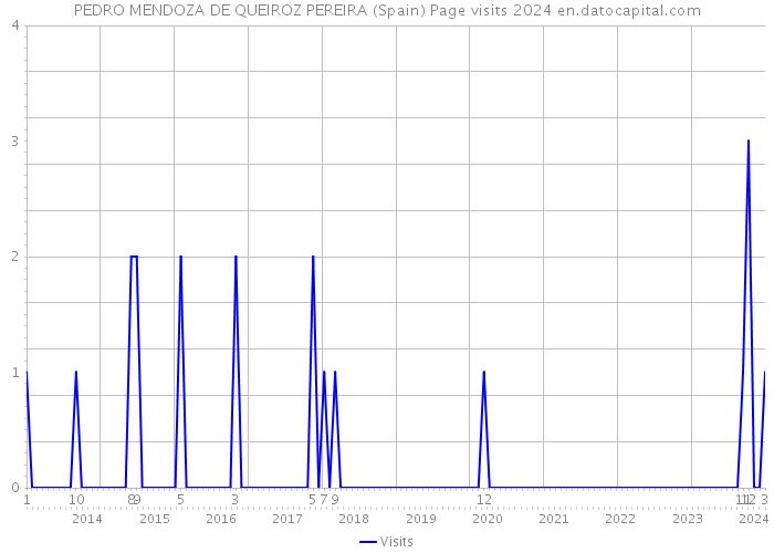 PEDRO MENDOZA DE QUEIROZ PEREIRA (Spain) Page visits 2024 