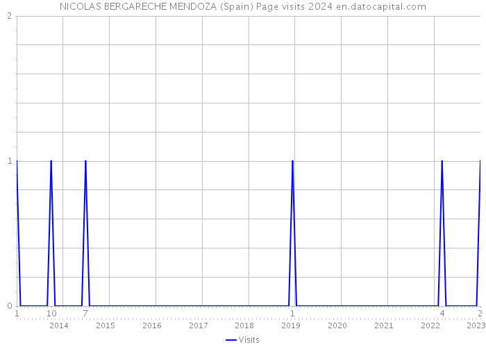 NICOLAS BERGARECHE MENDOZA (Spain) Page visits 2024 