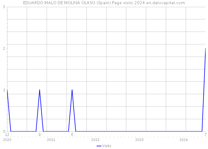 EDUARDO MALO DE MOLINA OLASO (Spain) Page visits 2024 