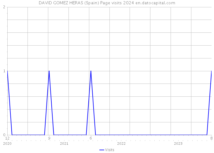 DAVID GOMEZ HERAS (Spain) Page visits 2024 