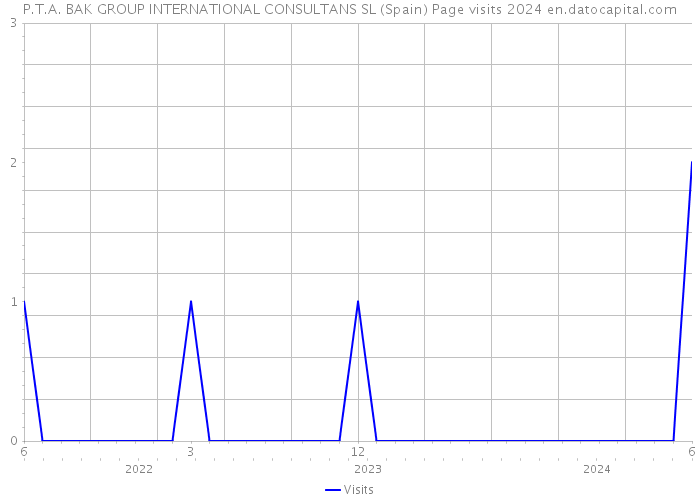 P.T.A. BAK GROUP INTERNATIONAL CONSULTANS SL (Spain) Page visits 2024 