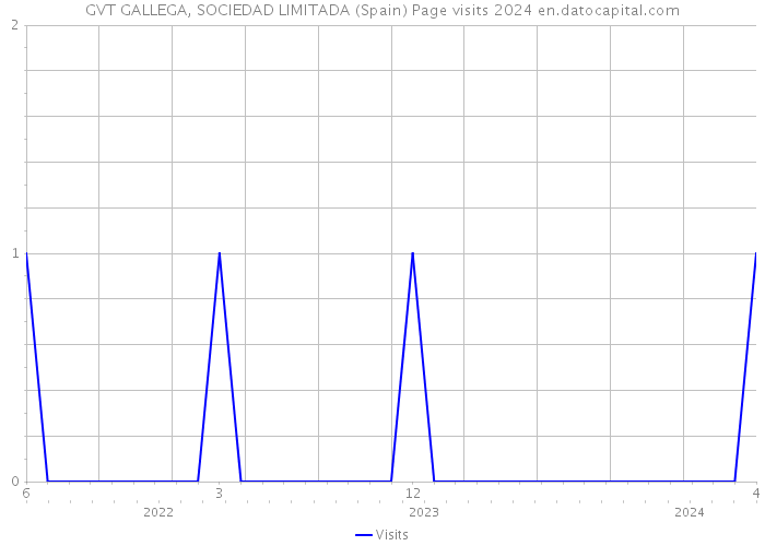 GVT GALLEGA, SOCIEDAD LIMITADA (Spain) Page visits 2024 