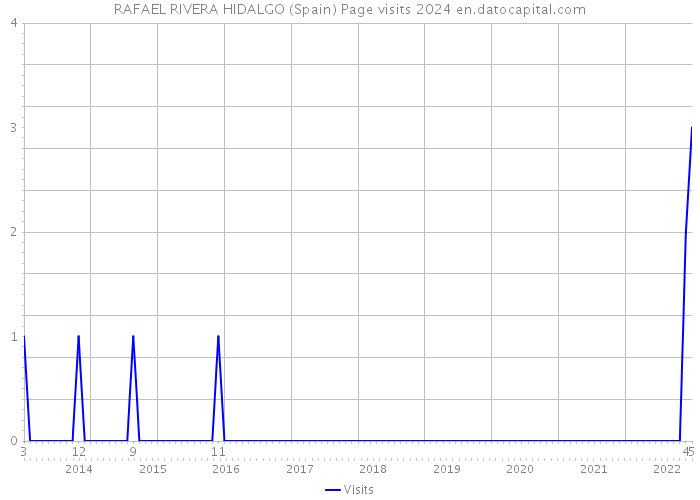 RAFAEL RIVERA HIDALGO (Spain) Page visits 2024 