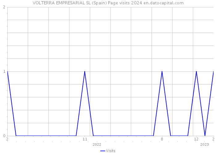 VOLTERRA EMPRESARIAL SL (Spain) Page visits 2024 