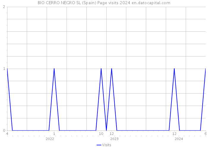 BIO CERRO NEGRO SL (Spain) Page visits 2024 