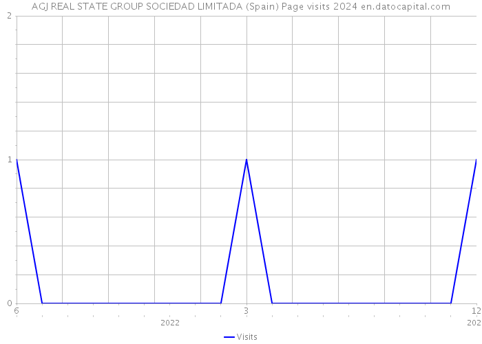 AGJ REAL STATE GROUP SOCIEDAD LIMITADA (Spain) Page visits 2024 