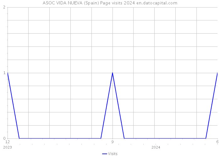 ASOC VIDA NUEVA (Spain) Page visits 2024 