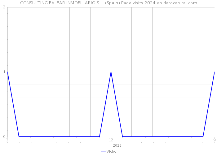 CONSULTING BALEAR INMOBILIARIO S.L. (Spain) Page visits 2024 