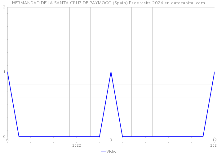 HERMANDAD DE LA SANTA CRUZ DE PAYMOGO (Spain) Page visits 2024 