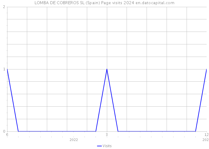 LOMBA DE COBREROS SL (Spain) Page visits 2024 