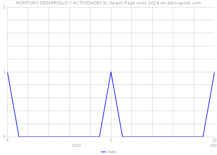 MONTORO DESARROLLO Y ACTIVIDADES SL (Spain) Page visits 2024 