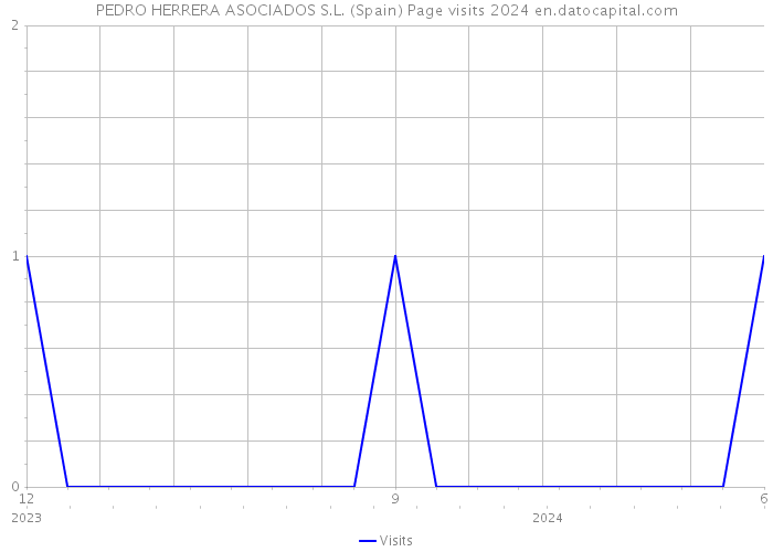 PEDRO HERRERA ASOCIADOS S.L. (Spain) Page visits 2024 