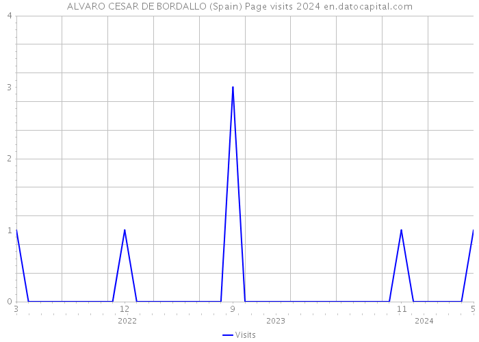 ALVARO CESAR DE BORDALLO (Spain) Page visits 2024 