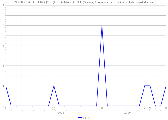 ROCIO CABALLERO JORQUERA MARIA DEL (Spain) Page visits 2024 