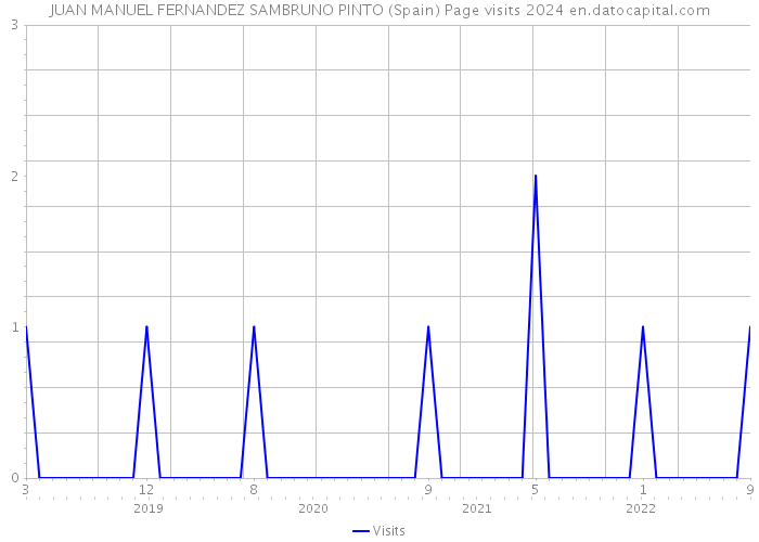 JUAN MANUEL FERNANDEZ SAMBRUNO PINTO (Spain) Page visits 2024 