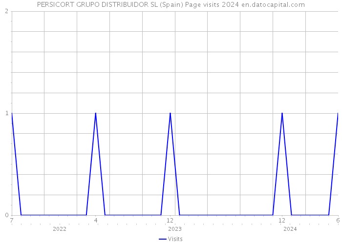 PERSICORT GRUPO DISTRIBUIDOR SL (Spain) Page visits 2024 