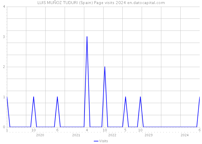 LUIS MUÑOZ TUDURI (Spain) Page visits 2024 