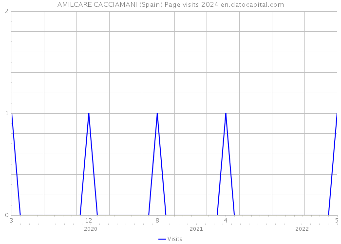 AMILCARE CACCIAMANI (Spain) Page visits 2024 