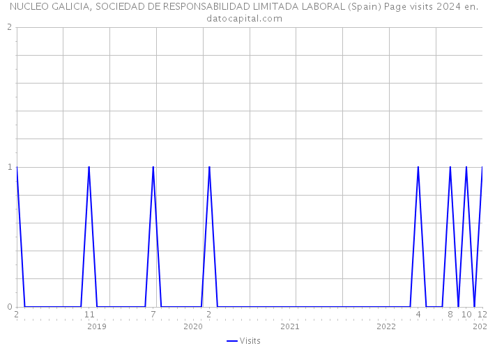 NUCLEO GALICIA, SOCIEDAD DE RESPONSABILIDAD LIMITADA LABORAL (Spain) Page visits 2024 