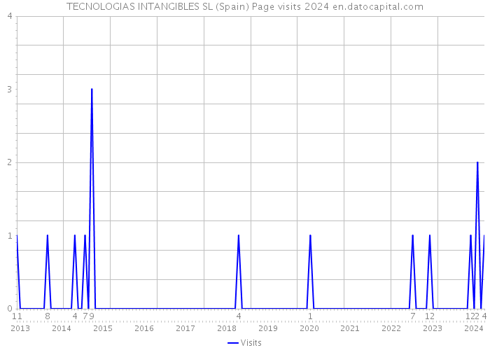 TECNOLOGIAS INTANGIBLES SL (Spain) Page visits 2024 