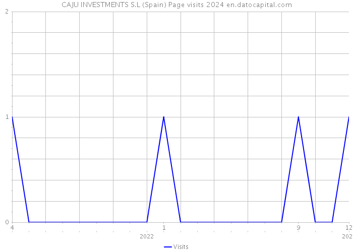 CAJU INVESTMENTS S.L (Spain) Page visits 2024 