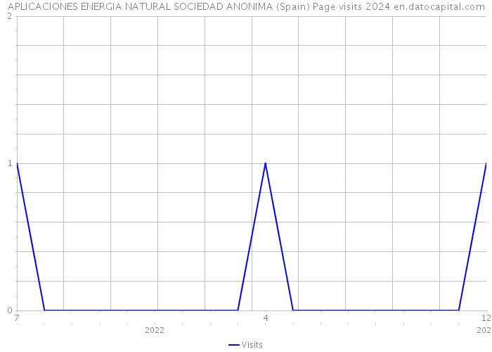 APLICACIONES ENERGIA NATURAL SOCIEDAD ANONIMA (Spain) Page visits 2024 