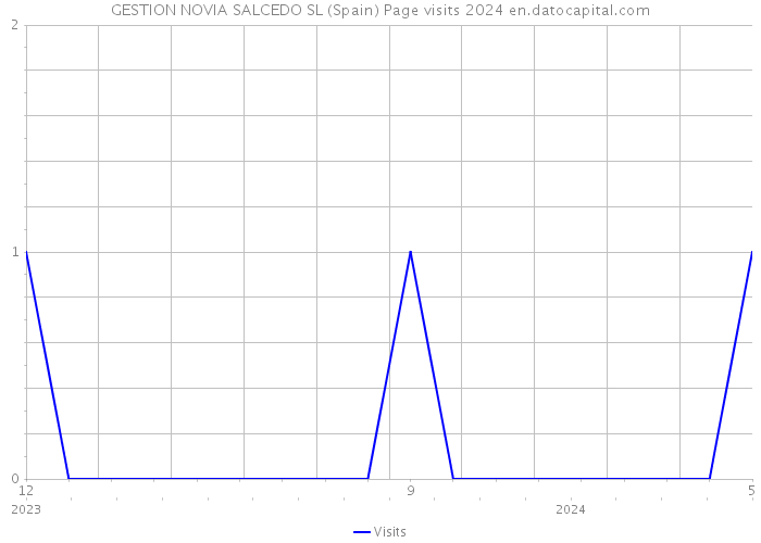 GESTION NOVIA SALCEDO SL (Spain) Page visits 2024 