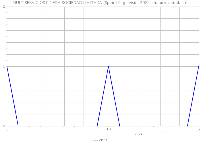MULTISERVICIOS PINEDA SOCIEDAD LIMITADA (Spain) Page visits 2024 