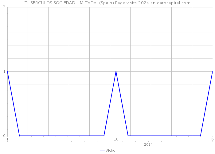 TUBERCULOS SOCIEDAD LIMITADA. (Spain) Page visits 2024 