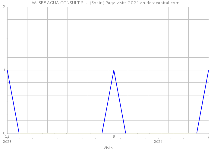 WUBBE AGUA CONSULT SLU (Spain) Page visits 2024 