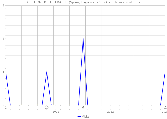 GESTION HOSTELERA S.L. (Spain) Page visits 2024 